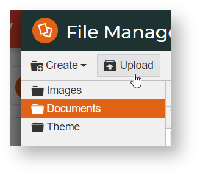 CMS File Manager upload documents